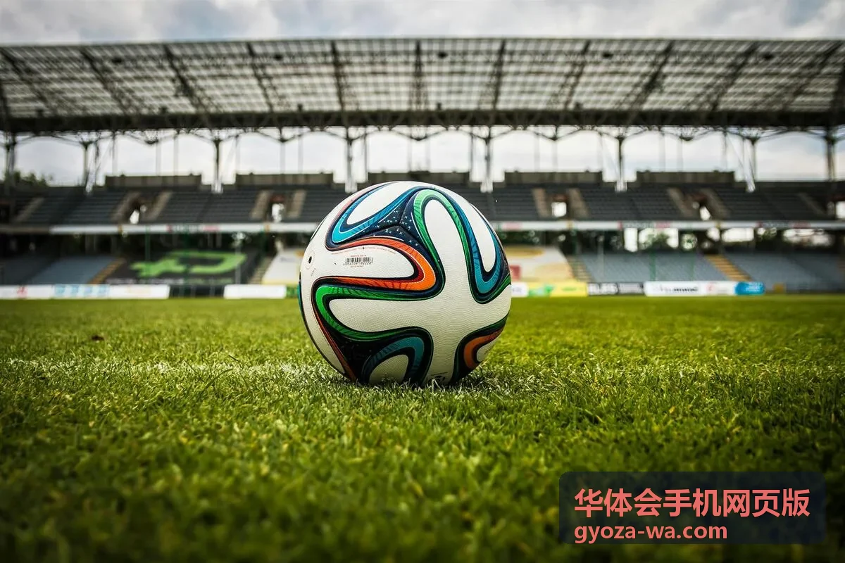 华体会手机网页版手机端功能指南封面图