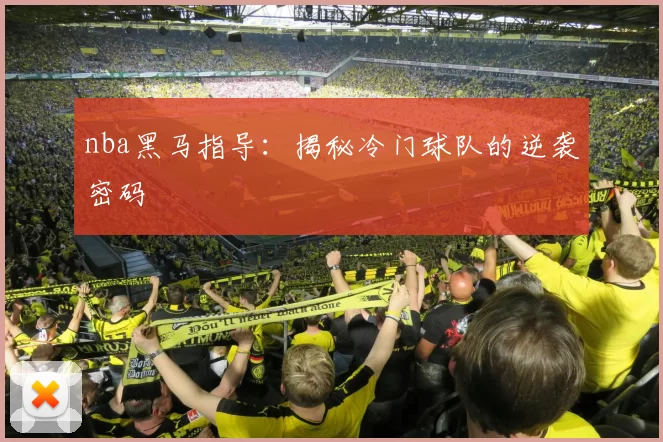 nba黑马指导:揭秘冷门球队的逆袭密码