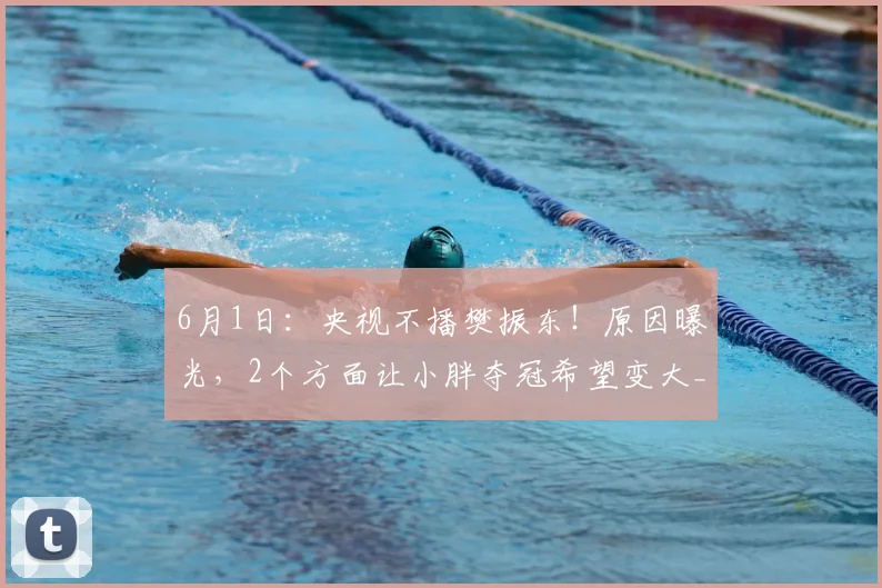 6月1日:央视不播樊振东!原因曝光,2个方面让小胖夺冠希望变大_比赛_德甲_萨尔布吕肯